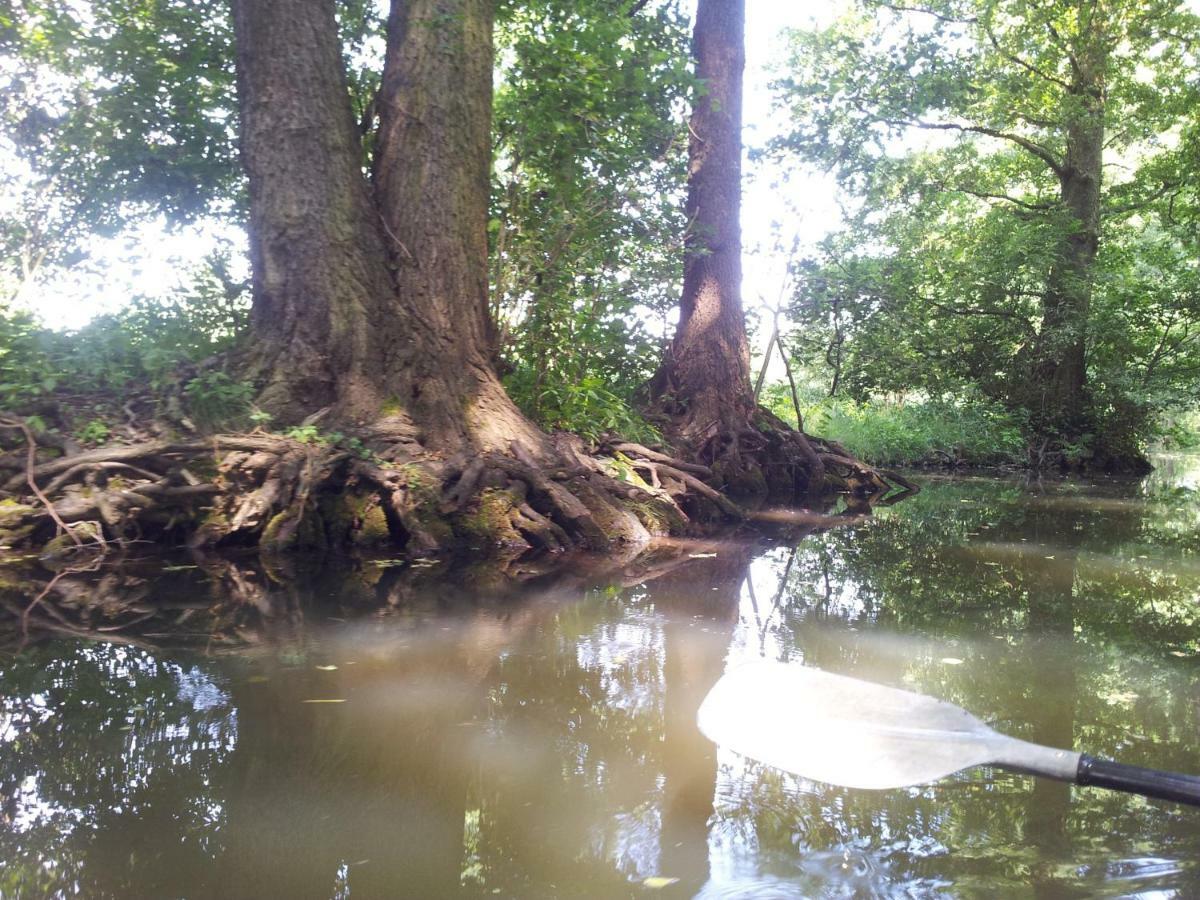 Doppelzimmer Im Spreewald Burg (Spreewald) Exterior foto