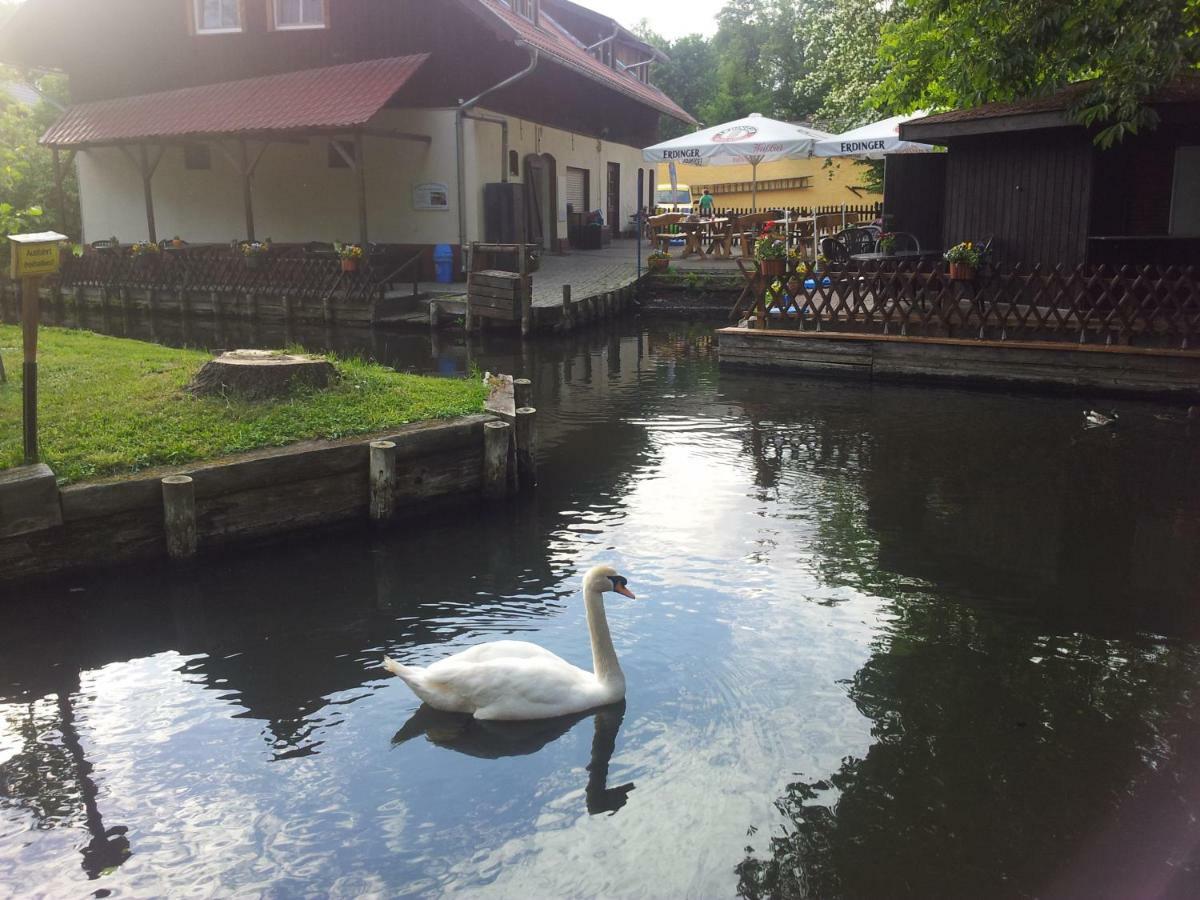 Doppelzimmer Im Spreewald Burg (Spreewald) Exterior foto