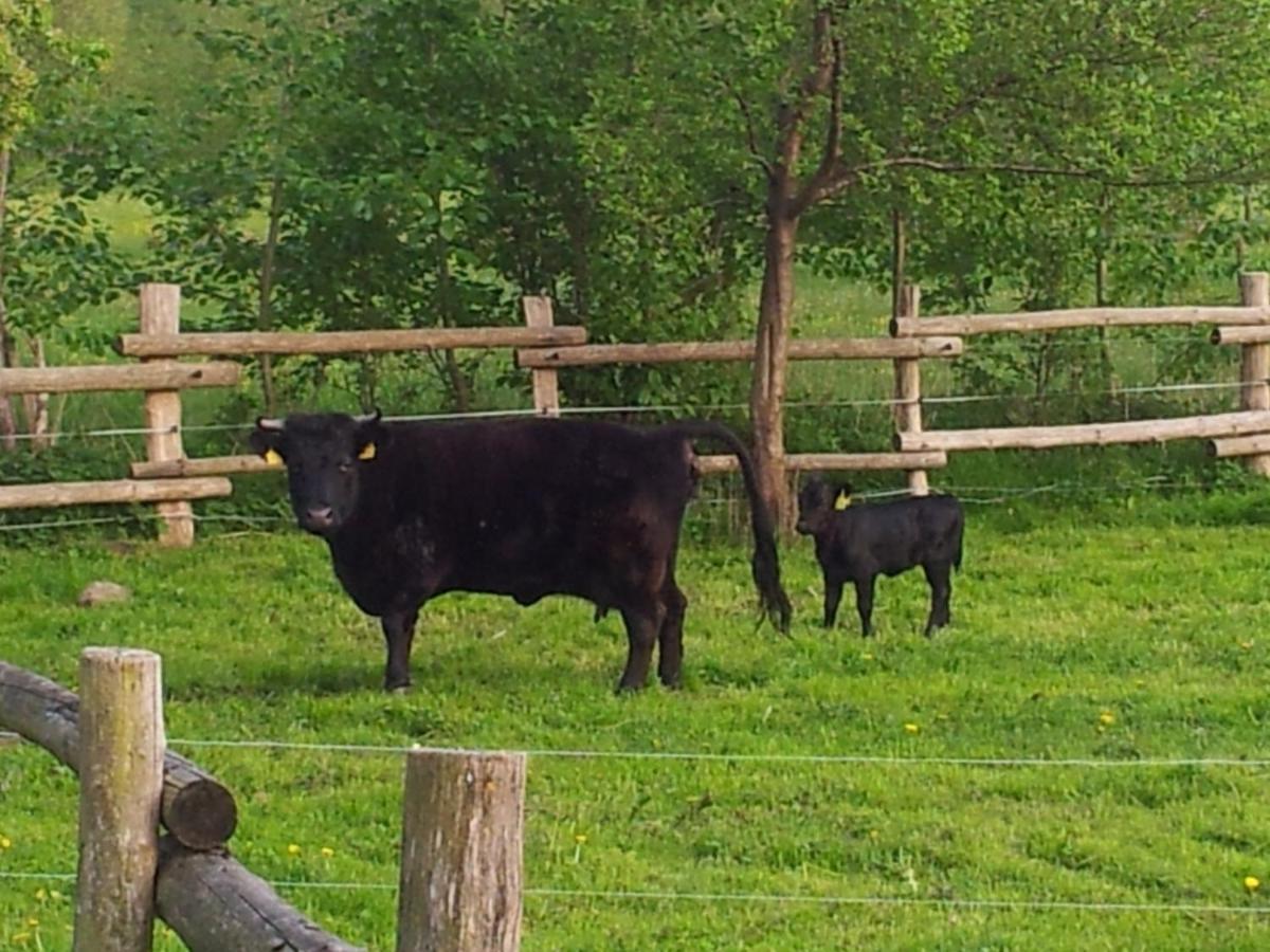 Doppelzimmer Im Spreewald Burg (Spreewald) Exterior foto