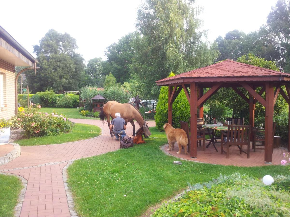 Doppelzimmer Im Spreewald Burg (Spreewald) Exterior foto