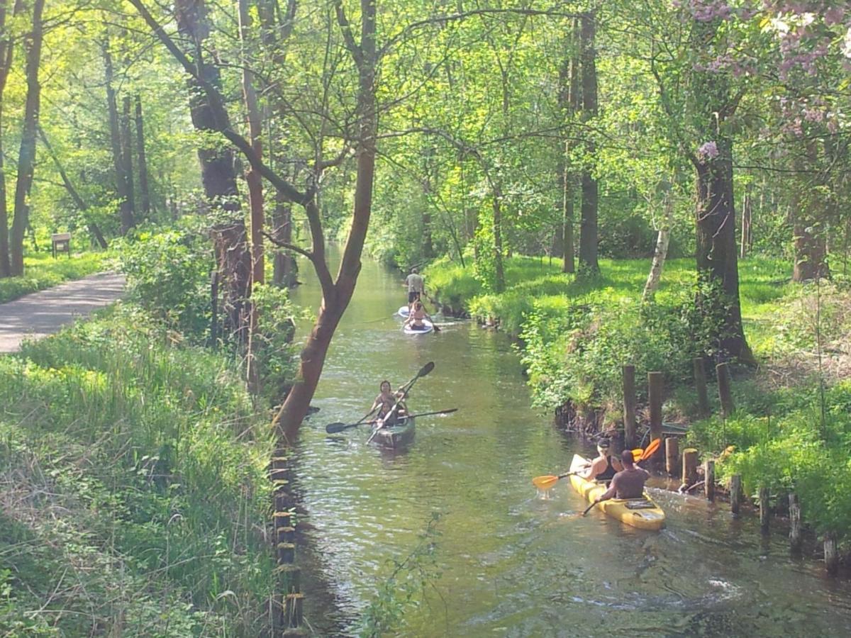 Doppelzimmer Im Spreewald Burg (Spreewald) Exterior foto